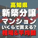 高知県の新築分譲マンションはいくら？平均価格・広さ面積・人気の間取りを徹底リサーチしてみた